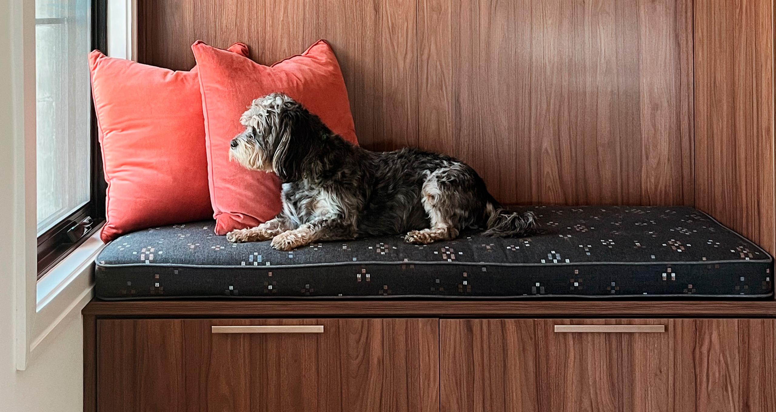 Built in custom bookshelves shown in a living room in a dark wood finish with gold hardware from CaliforniaClosets